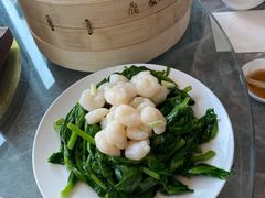 清炒豆苗-鼎泰丰(国贸商城店)
