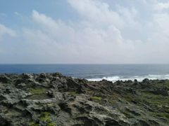 -龙坑生态保护区