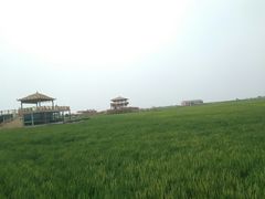 -红海滩国家风景廊道