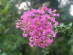 -国家植物园