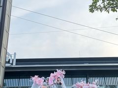 -江心屿景区