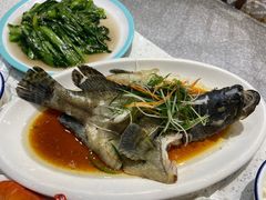 清蒸石斑鱼-锦里海景海鲜餐厅.三亚老字号(亚龙湾中心广场店)