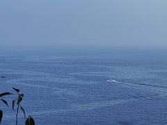 -棒棰岛宾馆景区