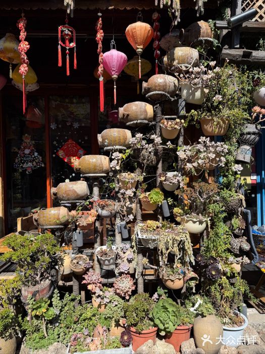 在路上酒吧(大理古城店)图片