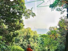 -火炉山森林公园