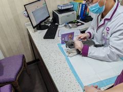 -宠爱国际动物医院·消化内科·心肾内科·ISFM猫友好(望京店)