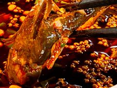 黄辣丁-青城甲(青城山店)