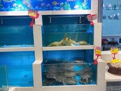 水产区-元银甲·湖北地标美食(汉阳店)