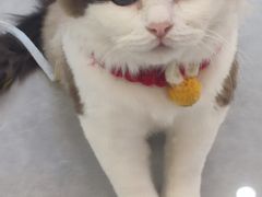 -CityOn熙地港（西安）购物中心
