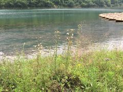 -楠溪江风景名胜区