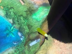 -珠海横琴国家地理探险家中心(创新方)