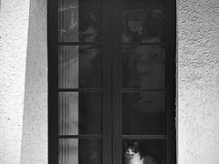 -曹杨影城(曹杨店)