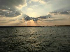 景点-上海长兴岛郊野公园