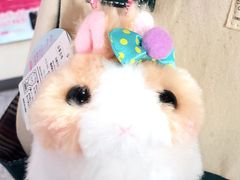 -秋叶原电器街