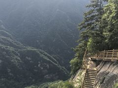 -陕西省红河谷森林公园