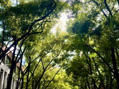 -四川大学(望江校区)