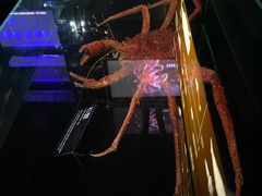 -同济大学四平路校区深海探索馆