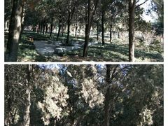-郑州烈士陵园(二七区)