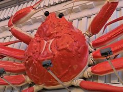 -蟹道乐(道顿堀本店)