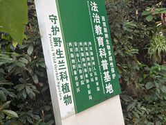 -野象谷景区