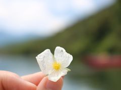景点-丽江泸沽湖景区-里格半岛
