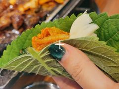 -香猪坊(五道口店)