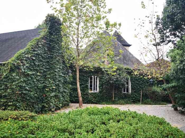 地址位于渝北区地方比较好找周末必打卡之一常青藤四季田园拍照好地方