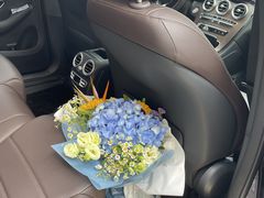 -上海星瀚奔驰4S店(红柳路店)