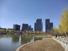 -西海子公园