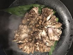 日本有机舞菇-煲宫(华润万象城店)