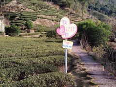 -武夷山风景名胜区-虎啸岩