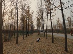 -汉景帝阳陵博物院