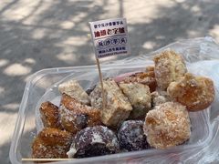 -普宁反沙番薯芋头