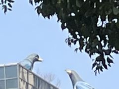 -义乌之心城市生活广场