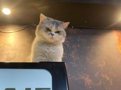 -蒙斯莫吉托(南开大悦城店)