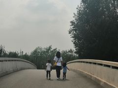 -东郊湿地公园