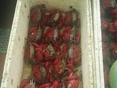 -莲花公园煎蟹(总店)