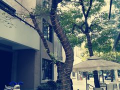 -徐家汇源景区-衡山坊