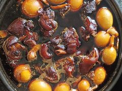 -天鹅到家·保姆月嫂育儿嫂(天河店)