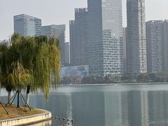 -天鹅湖体育公园