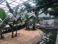 -石家庄市动物园