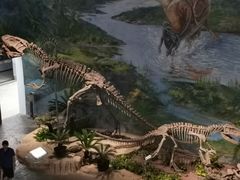 -自贡恐龙博物馆