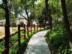 -水濂山森林公园