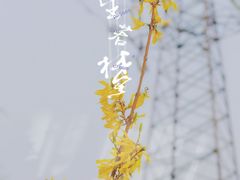 -白水寺森林公园