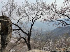 -阳台山自然风景区