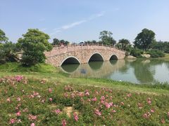 -瑶湖郊野森林公园