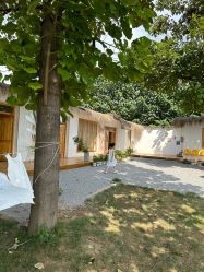 -DORA kids 朵拉儿童摄影花园店