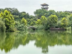 -张坝桂圆林公园