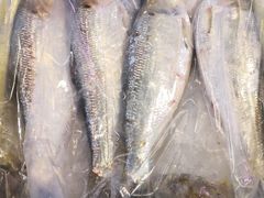 -芦潮港集贸市场