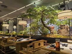 -绿茶餐厅(光明N次方公园店)